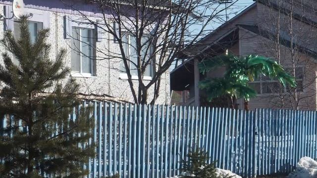 От Холмогор до Ломоносова