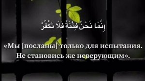 Махди аш-Шишани сура 2 Бакара аят 102