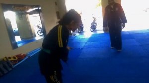 HAPKIDO ESSA É MINHA ARTE POR LUANA MENEGHELLI