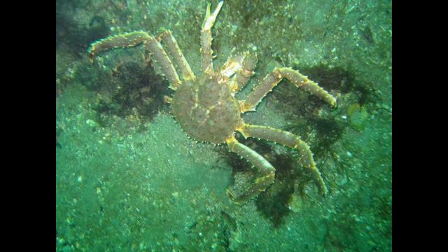 Баренцево море 082012 смотреть онлайн