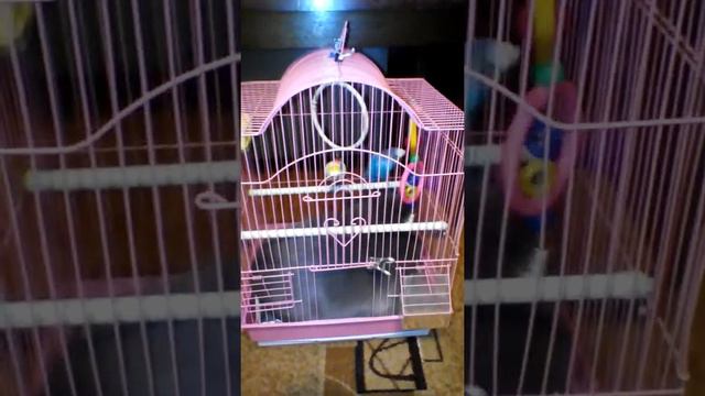 Рейдерский захват квартиры смотреть онлайн