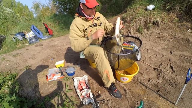 Vlog # 5 Первый лещ фидерного сезона 2018 смотреть онлайн