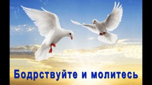 Бодрствуйте и молитесь - Комар В - МСЦ ЕХБ - [христианские проповеди]