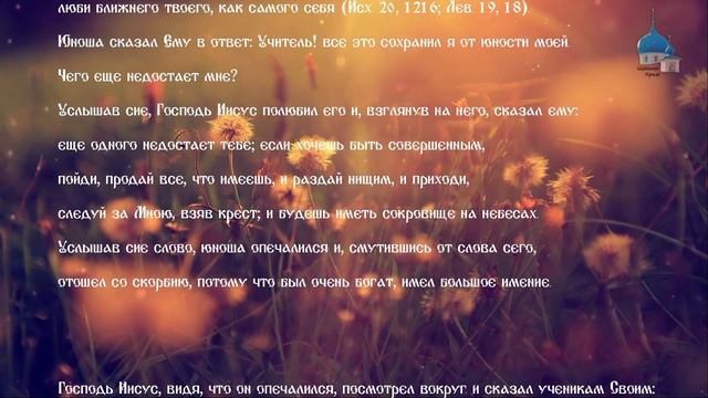 Благословение детей. Совет богатому юноше все раздать. Протоиерей Андрей Волынский смотреть онлайн