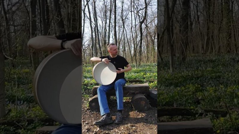 Зарисовочка из весеннего леса. #percussion #framedrums