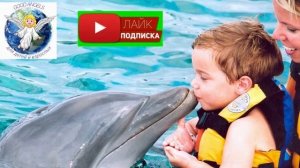 СКАЗОЧНАЯ ЖИЗНЬ ДЕЛЬФИНОВ #сказка