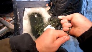 ЩУК ТЬМА + СУДАКИ! Как Ловит Сеть FISHING PRO Геннадия !  Рыбалка 2022!