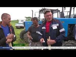 Сельсовет. Конкурс пахарей