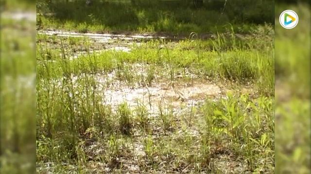 В Акмолинской области возросло количество случаев возникновения пожара смотреть онлайн