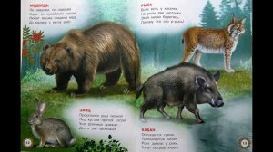 Мир зверей и птиц. В. Степанов. Издательство Фламинго. Дети 0+