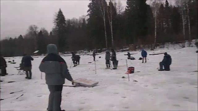 Сходы с обрывами и поимки форели. Клёвое место, Лосиный остров, верхний водоём. смотреть онлайн