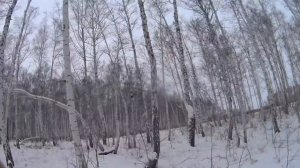 Охота на зайца! В омской области! Выезд№2! 18+