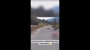 ДЖАВИД ОЗВУЧКА С ОВЦАМИ