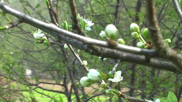 Моим друзьям для поднятия настроения смотреть онлайн