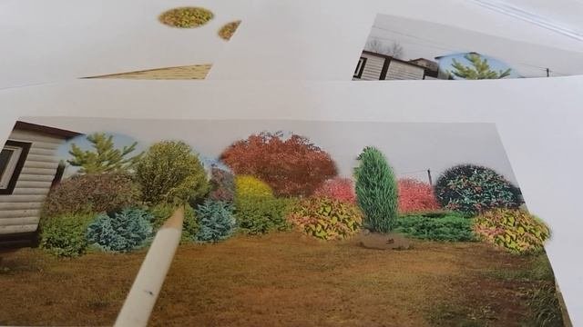 Новая композиция для сада в природном стиле: какие растения выбрать?