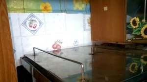 Горячее копчение в квартире (эксперемент)