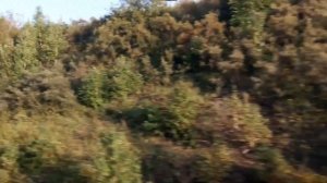 От станции Бугач, до станции Красноярск-Северный, из окна электрички