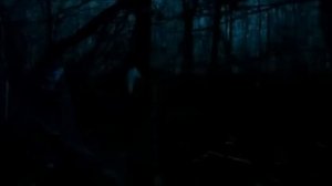 Сделай шаг навстречу мне..