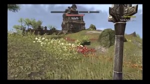 Tamriel ONLINE action, island quests