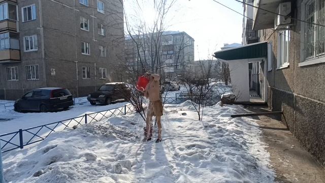 Обливание холодной водой. Закаливание.