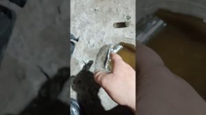 стучащий гидрокомпенсатор чери амулет