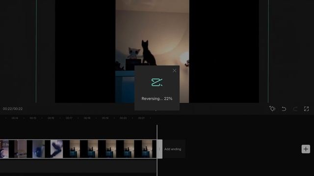 How to reverse videos on iPhone, iPad, Android free and easy