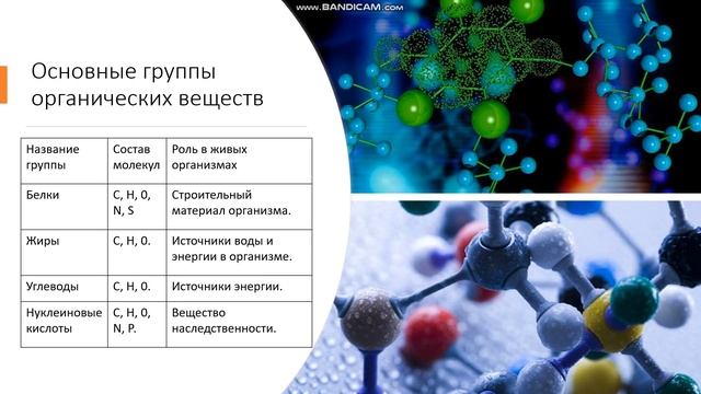 5 класс  Что такое органические и неорганические вещества
