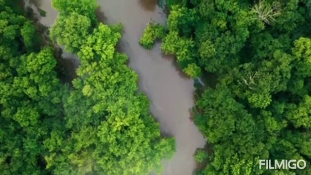 нежная музыка для успокоения нервов и глубокий сон и восстановление сил смотреть онлайн