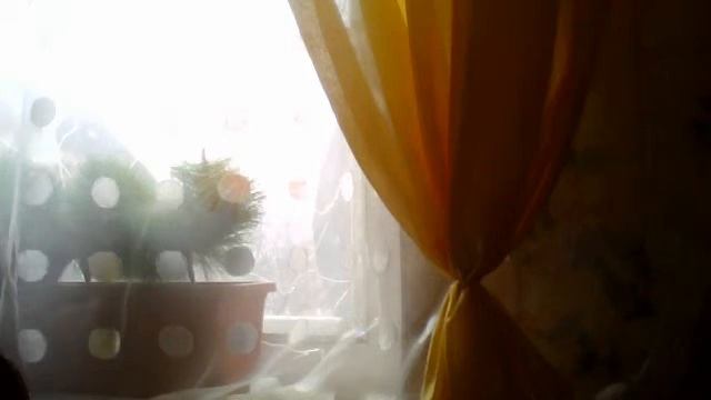 Видео с веб-камеры. Дата: 15 января 2014 г., 13:42. смотреть онлайн