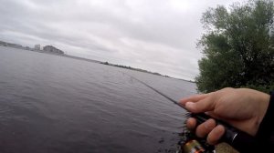 МОРМЫШИНГ на реке. Утренняя рыбалка в июле на реке Волга.