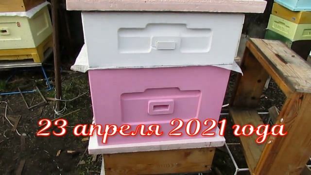 как улучшить развитие отводка или слабой семьи пчел, теплый лист ППС вместо ульевого дна смотреть онлайн