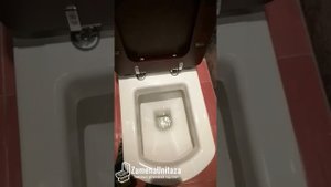 Тест смыва унитаза Vitra Serenada Горизонтальный Выпуск Деревянна Крышка