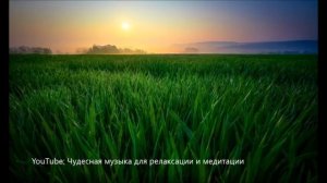 【396 Гц   Повышение гормона счастья, Активизация первой чакры】 Музыка для релаксации и медитации