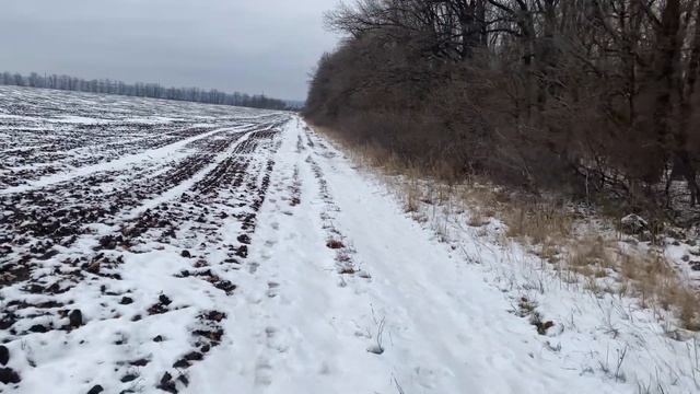 Идеи Зеппа Хольцера в Коротыче. Шесть прудов без усилий.