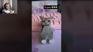 БУМАЖНЫЙ КОТИК — ОТКУДА МЕМ? (EL GATO){}РЕакция на небуди