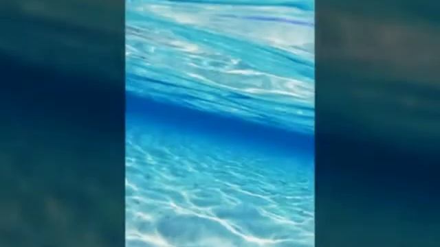 Звонкие сны/Дзвінкі сни - ДетиДетей