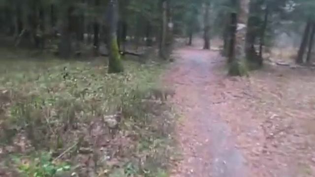 Велопоход