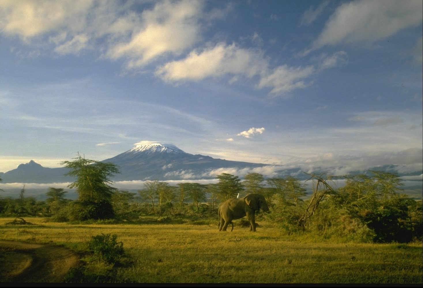 Синдром выученной беспомощности. Как избавиться от беспомощности смотреть онлайн
