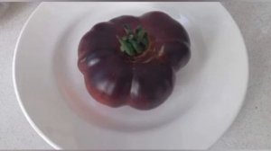 Томат "Сибирский тигр розовый "