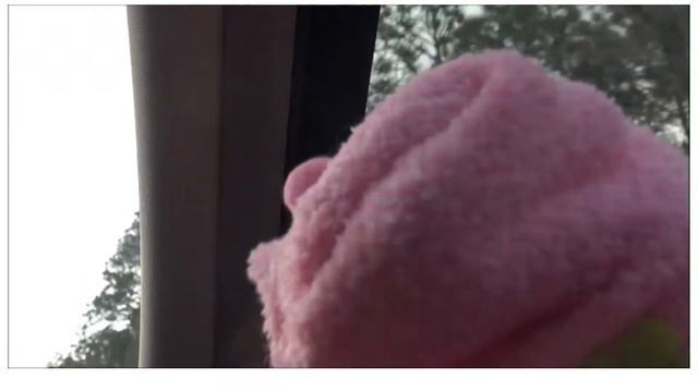 PETUNIA takes a ROAD TRIP-LEARN COLORS for Toddlers  Pre-School