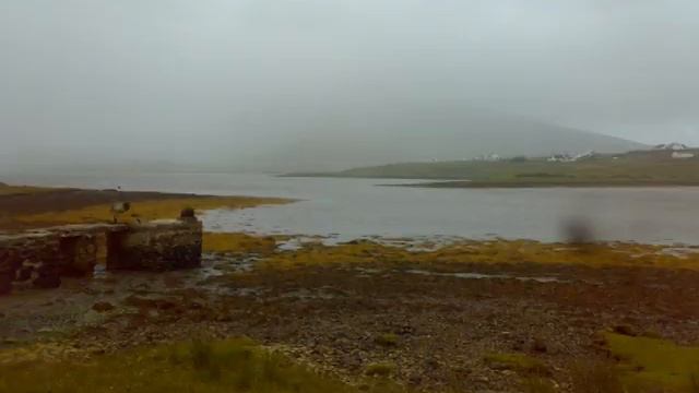 The wind that shakes the barley смотреть онлайн