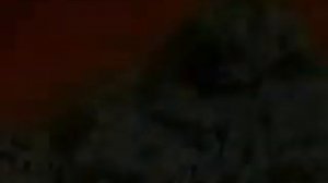 korn dead bodies everywhere