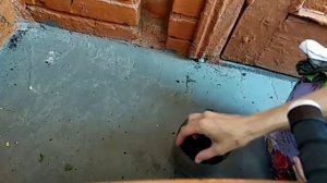 Обрезка роз после цветения. Укоренение черенков