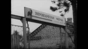 Сельское хозяйство в СССР. Колхоз Искра.