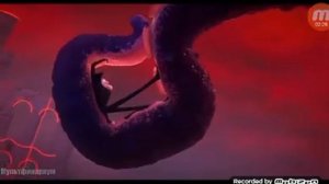 Отрывак из мультика дракула