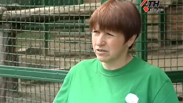 18.05.16 - Пополнение в харьковском экопарке. Амурская тигрица Далила родила четверых малышей смотреть онлайн