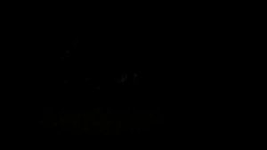 Достоевская - Ремонтируемая Лиговский проспект - Площадь Александра Невского