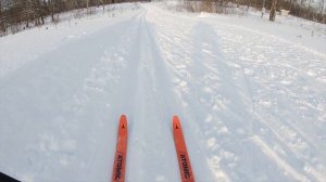 ЛЫЖНЫЙ БАТТЛ ATOMIC PRO S1 vs NORDWAY BASE TUNING - КТО ПОБЕДИТ? / ДНЕВНИК ЛЫЖНИКА 2024