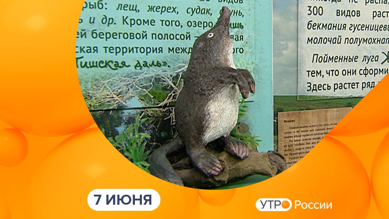 Утро России. Калуга (07.06.2024)
