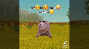 ду ю спик инглиш